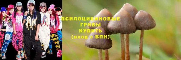 ГАЛЛЮЦИНОГЕННЫЕ ГРИБЫ Богородицк