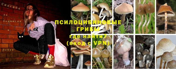 дживик Балахна