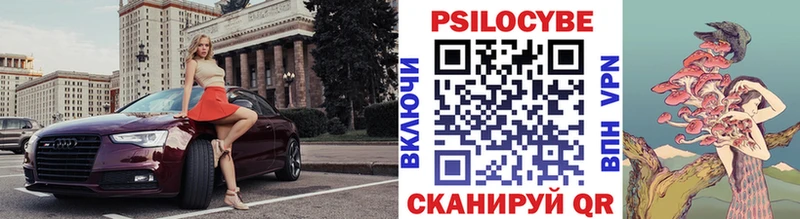 Псилоцибиновые грибы ЛСД  где найти наркотики  Будённовск 